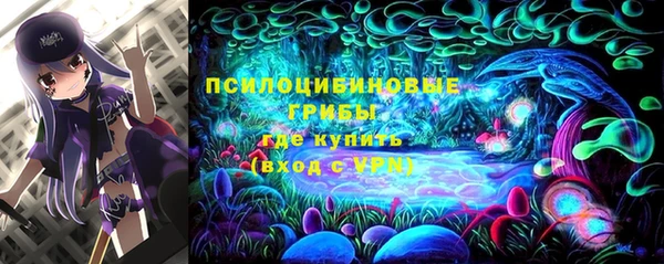 гашиш Гусев
