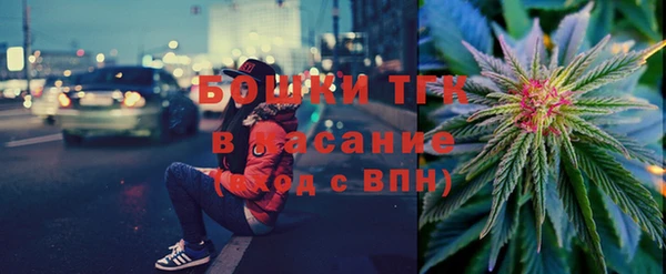 сатива Гусиноозёрск