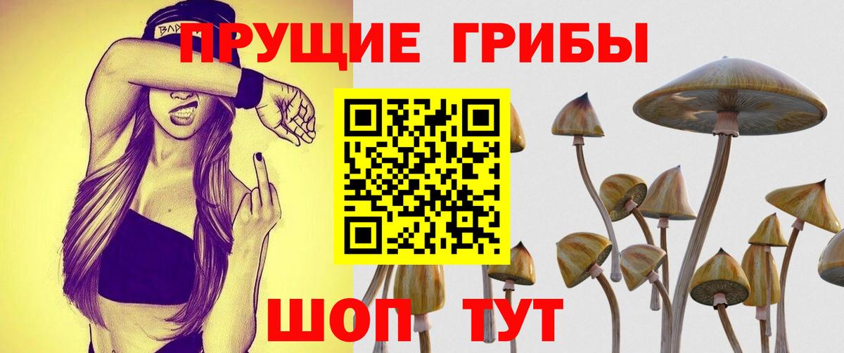 Галлюциногенные грибы Psilocybine cubensis  Галлюциногенные грибы Magic Shrooms  Вход с VPN  Архангельск 
