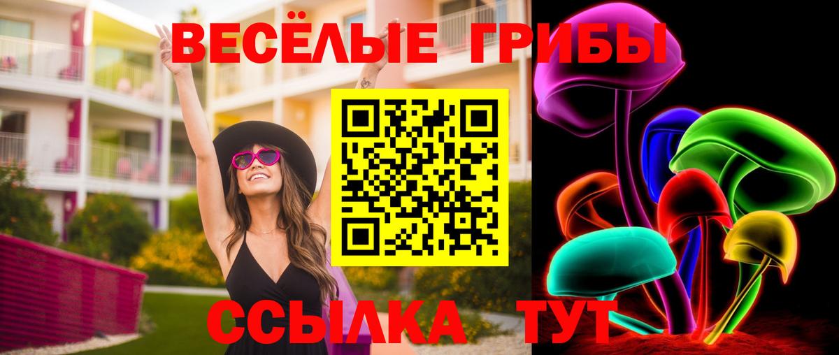 Галлюциногенные грибы мицелий Архангельск